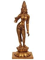 11" Goddess Uma Parvati Shivakamasundari Idol | Handmade Brass Statue