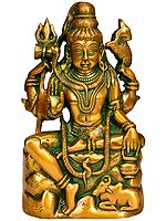 8" Lord Shiva as Pashupatinath In Brass | Handmade | Made In India