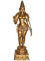 Devi Parvati, The Himalayan Maha-Tapasvini