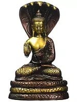 7" Tibetan Buddhist Blessing Buddha Brass Idol under Serpent Muchalinda