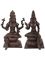11" Lord Shiva as Pashupatinath with Goddess Parvati In Brass