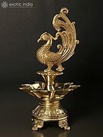 12" Nine Wicks Designer Peacock Lamp in Brass