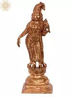 9'' Goddess Andal | Madhuchista Vidhana (Lost-Wax) | Panchaloha Bronze from Swamimalai