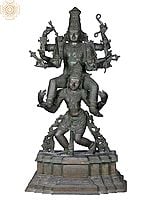 45'' Large Lord Perumal (Vishnu) Seated on Garuda | Madhuchista Vidhana (Lost-Wax) | Panchaloha Bronze from Swamimalai