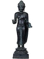 Tibetan Buddhist Deity Standing Buddha