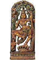 Krishna's Tandava (Shrimad Bhagavatam 10.16.30)
