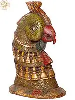 Parrot Head