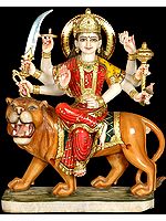 Goddess Durga - Sheran Wali Mata