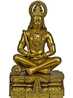 14" Lord Hanuman as Yogachara | Handcrafted Brass Statue