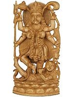 A Narrative Sculpture of Goddess Kali