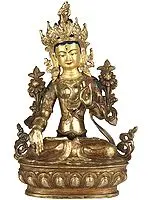 The Vigilance of Compassion