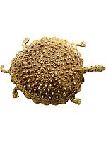 5" Tibetan Buddhist Feng Shui Tortoise in Brass | Handmade | Made in India