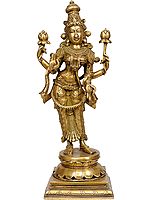 Lotus Goddess Lakshmi