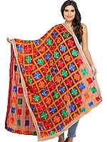 Phulkari Dupatta from Punjab with Embroidery All-Over