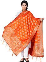 Dupatta from Gujarat with Brocaded Bootis