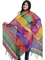 Multi-Color Rainbow Chanderi Dupatta with Golden Thread Weave