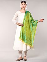 Banarasi Handloom Scarf with All-Over Tanchoi Weave