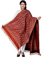 Stylized Paisley Banarasi Shawl with All-Over Weave