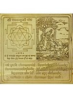 Shri  Bagalamukhi Yantra (Ten Mahavidya Series)