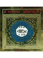 Matsya Yantram