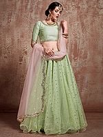 Jasmeen-Green Net Lehenga Choli with All over Sequins Butis and Sheer Pink Dupatta