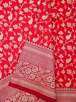 Poppy-Red Katan Silk Vine Pattern Banarasi Saree With Contrast Border