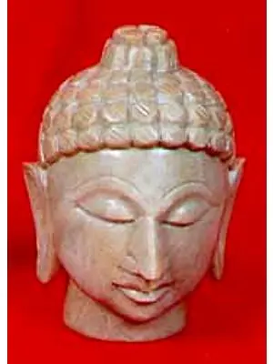 Buddha Bust