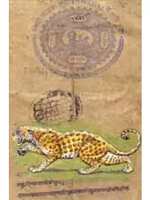 Leopard