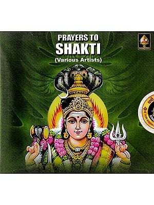 Hindu Goddess Audio Video