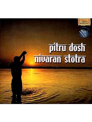 Pitru Dosh Nivaran Stotra (Audio CD)