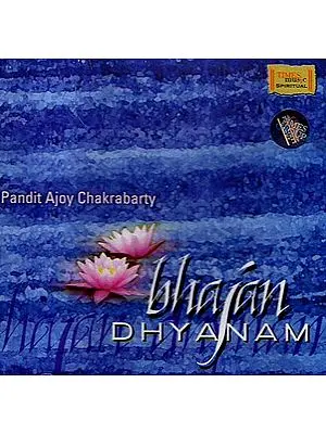 Bhajan Dhyanam (Audio CD)