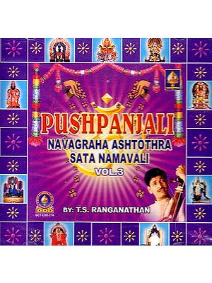 Pushtanjali Navagraha Ashtothra Sata Namavali Vol-3 (Audio CD)