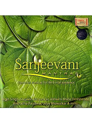 Sanjeevani Mantras: Powerful Mantras for Life & Vital Existence (Auido CD)