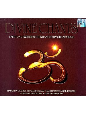 Divine Chants: Spiritual Experience Enhanced by Great Music (Audio CD)