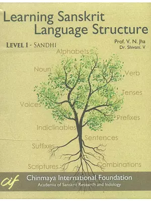 Learning Sanskrit Language Structure - Level I (A Set of 15 DVDs)
