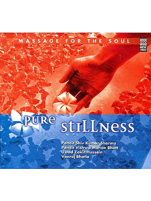 Pure Stillness: Massage For The Soul (Audio CD)