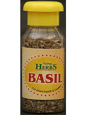 Basil Herbs
