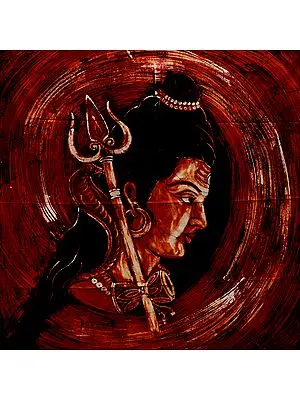 Shiva Lord of the Cosmos