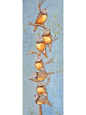Birds