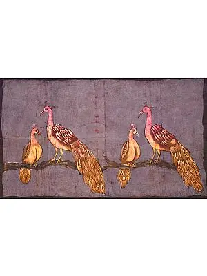 Pairs of Peacock and Peahen