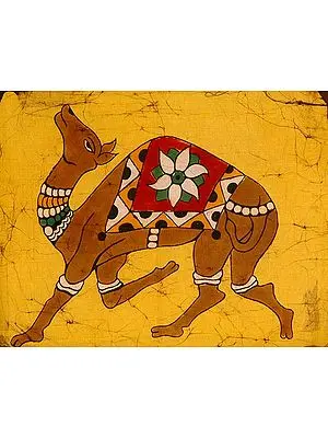 Camel