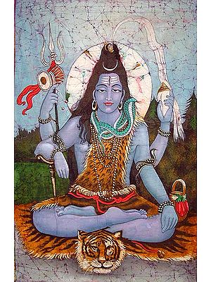 Meditating Shiva