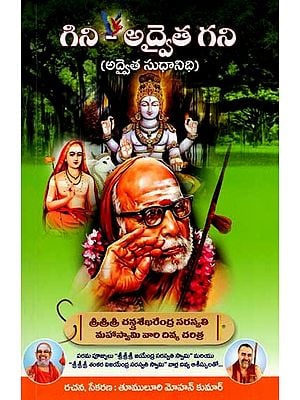 గిని - అద్వైత గని: Gini - Advaita Gani (Advaita Sudhanidhi) Telugu