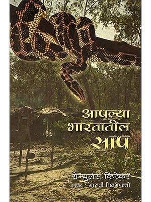 आपल्या भारतातील आप: Apalya bharatatila apa (Marathi)