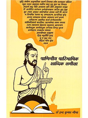 पाणिनीय पारिभाषिक शाब्दिक समीक्षा: Paniniya Paribhasika Sabdika Samiksa