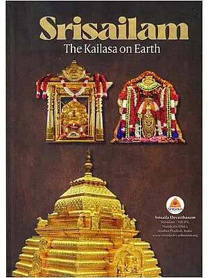 Srisailam: The Kailasa on Earth