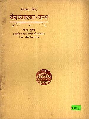 वेदव्याख्या-ग्रन्थ: Vedavyakhya-Grantha- Explanation of the Sixth Chapter of the Yajurveda, Vol-6 (An Old and Rare Book)