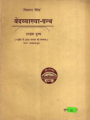 वेदव्याख्या-ग्रन्थ: Vedavyakhya-Grantha- Explanation of the Twelfth Chapter of the Yajurveda, Vol-12 (An Old and Rare Book)
