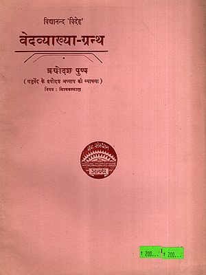 वेदव्याख्या-ग्रन्थ: Vedavyakhya-Grantha- Explanation of the Thirteenth Chapter of the Yajurveda, Vol-13 (An Old and Rare Book)