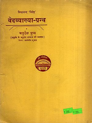 वेदव्याख्या-ग्रन्थ: Vedavyakhya-Grantha- Explanation of the Fourteenth Chapter of the Yajurveda, Vol-14 (An Old and Rare Book)
